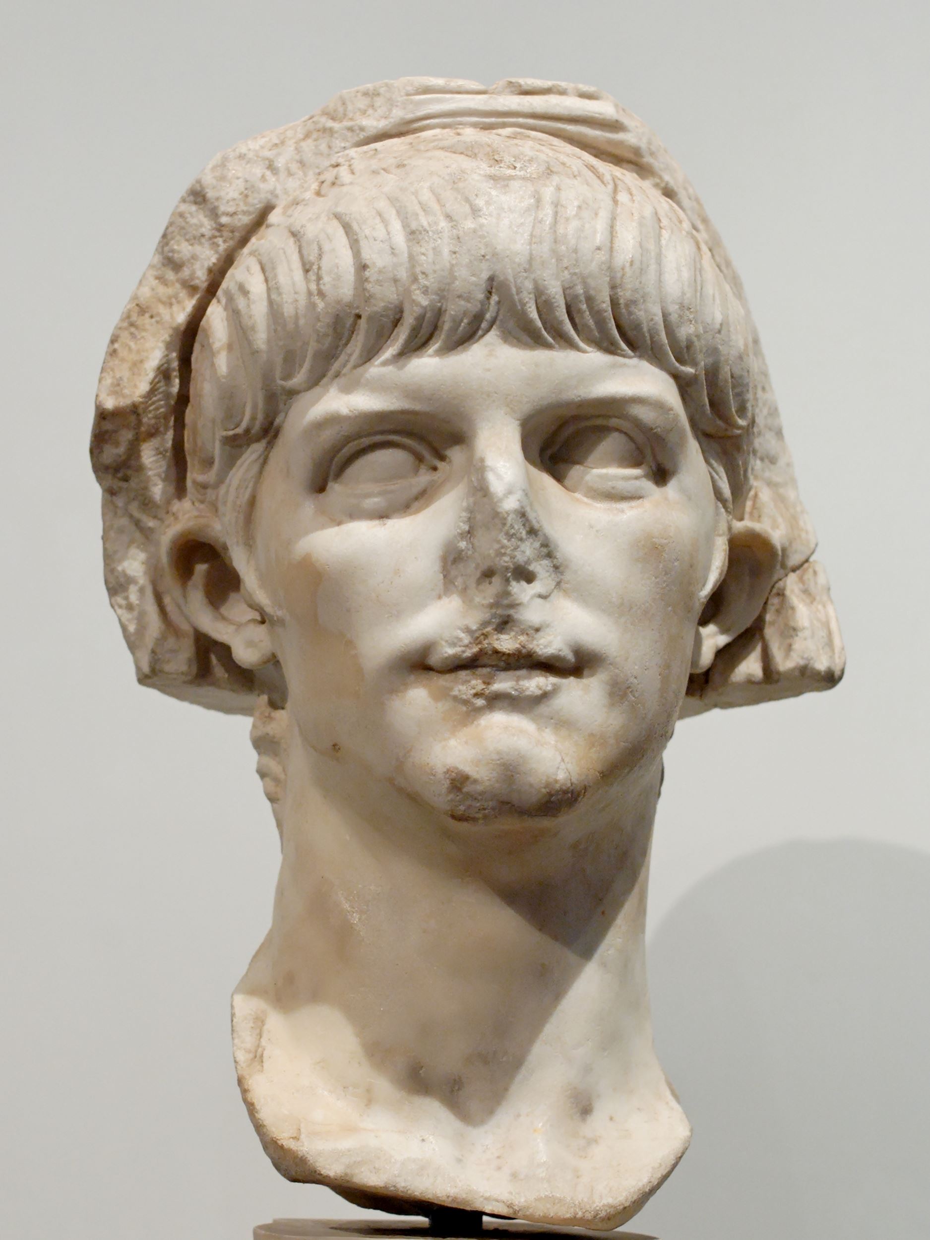 Britannicus