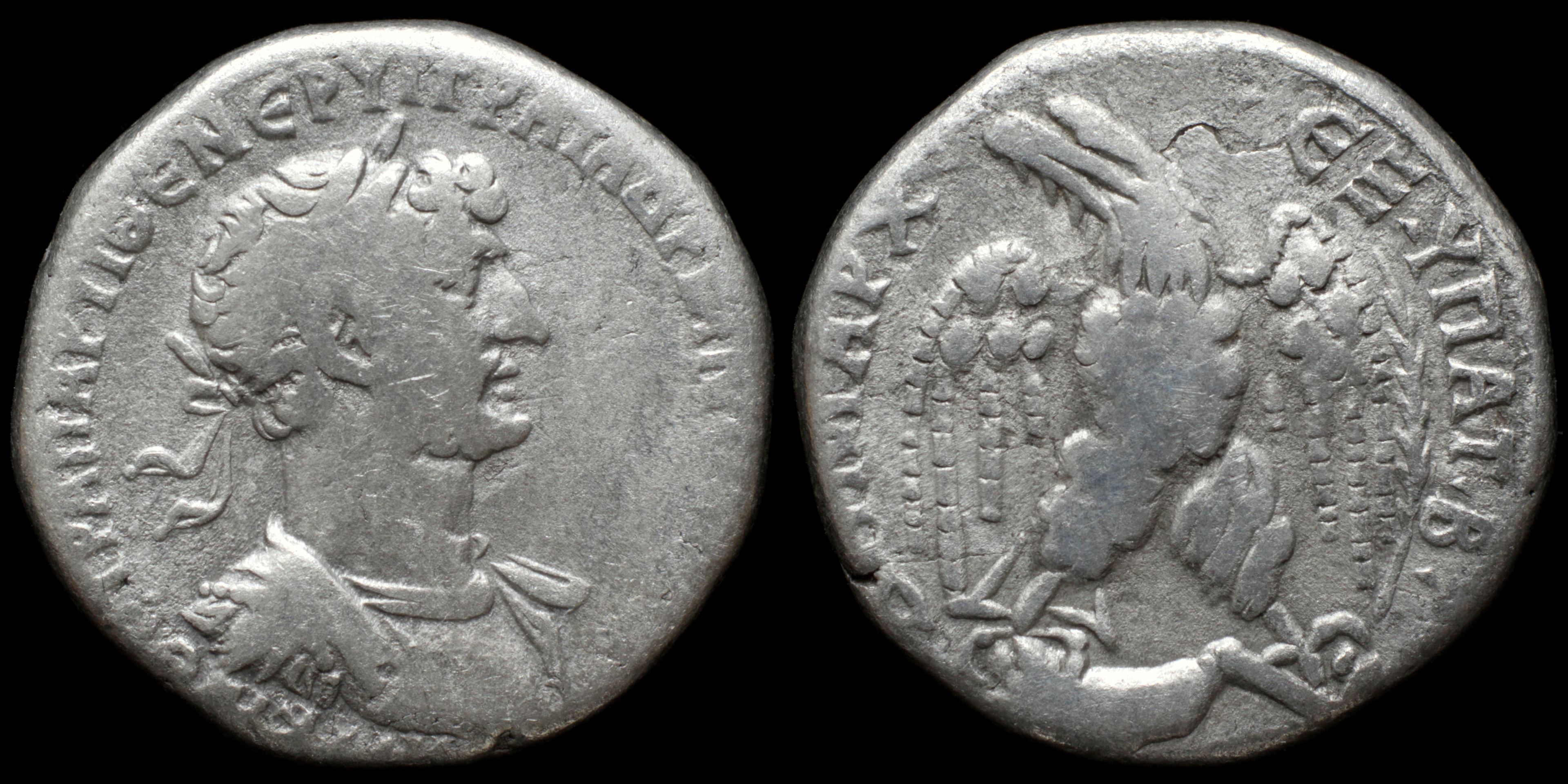 /Files/Images/Coinsite/CoinDB/1383_Hadrian_Antioch.jpg