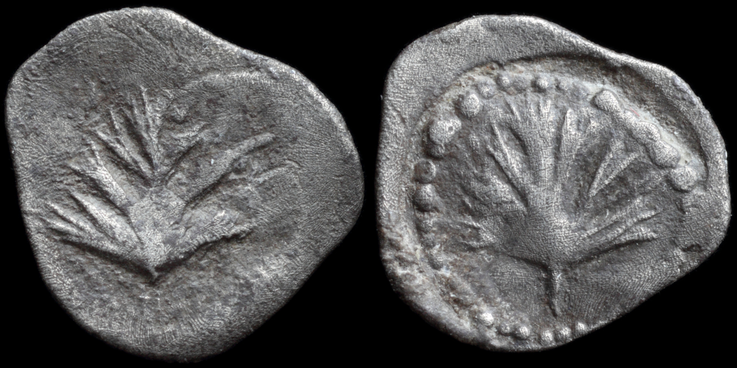 /Files/Images/Coinsite/CoinDB/1439_Selinus.jpg