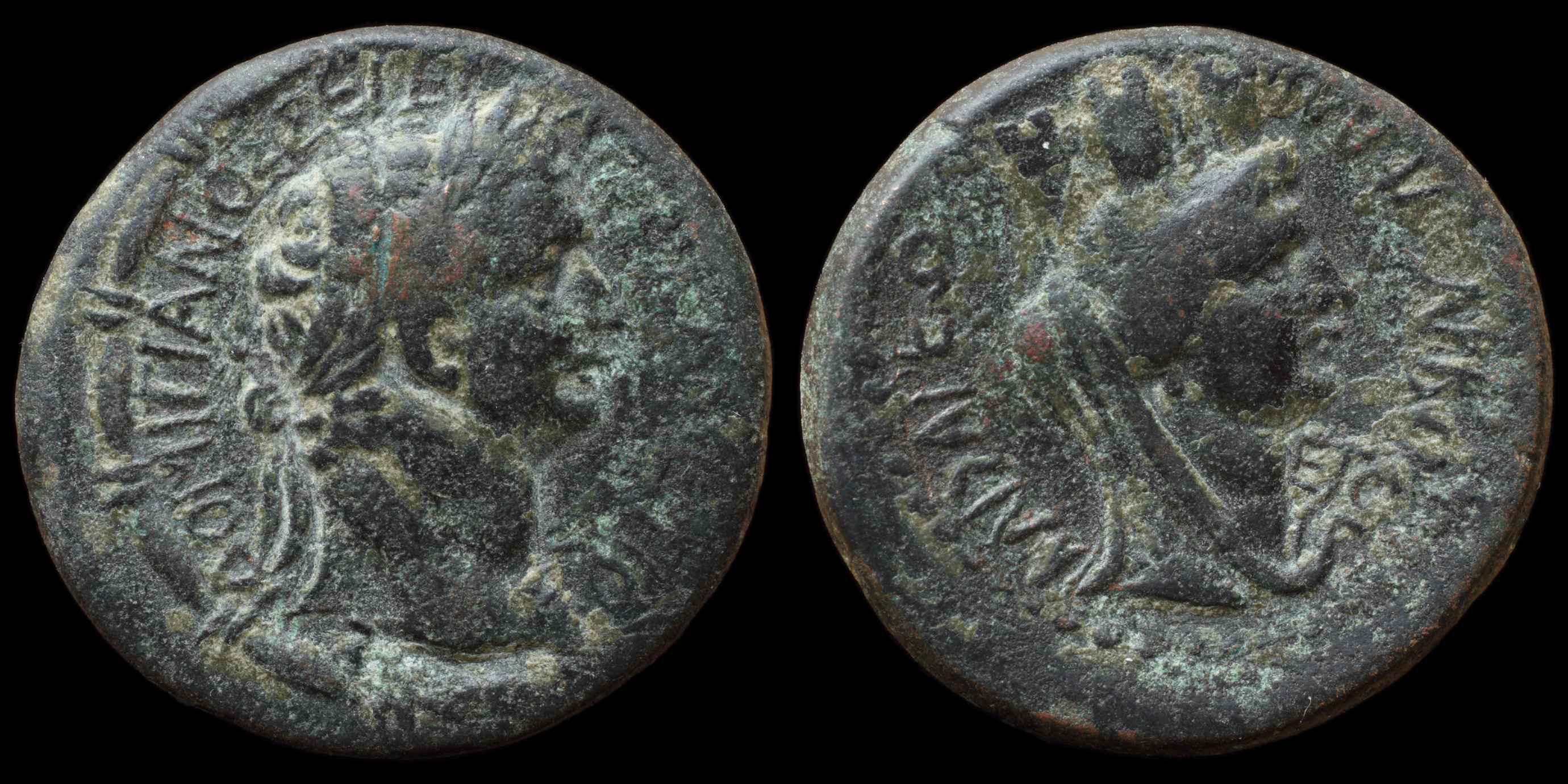 /Files/Images/Coinsite/CoinDB/1645_Domitian_Anazarbus.jpg