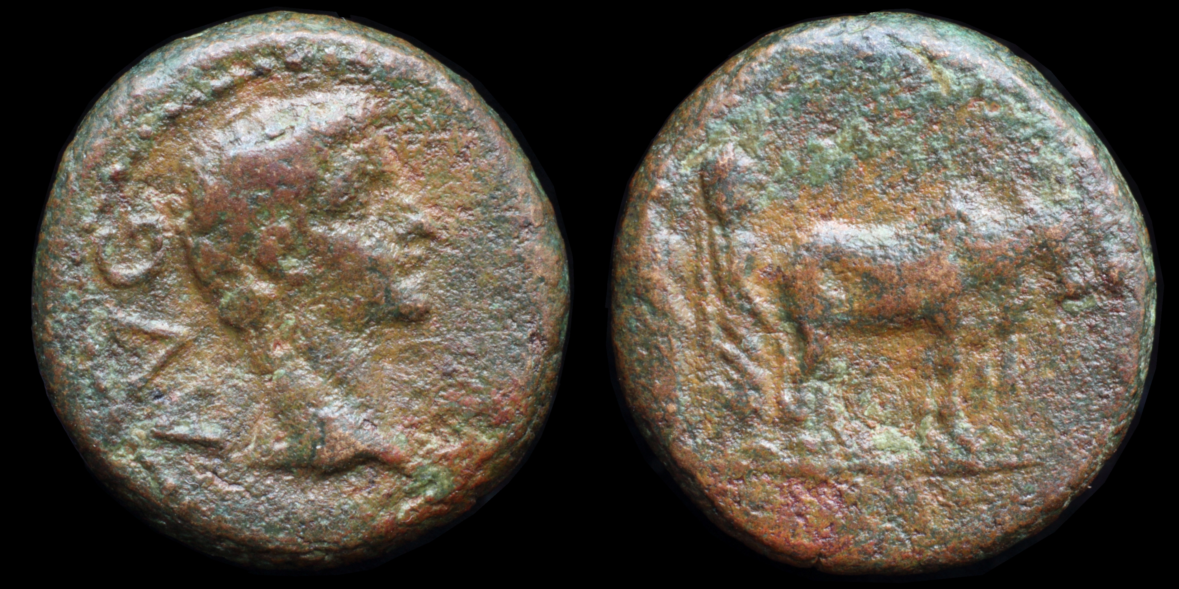 /Files/Images/Coinsite/CoinDB/893_Augustus_Philippi.jpg