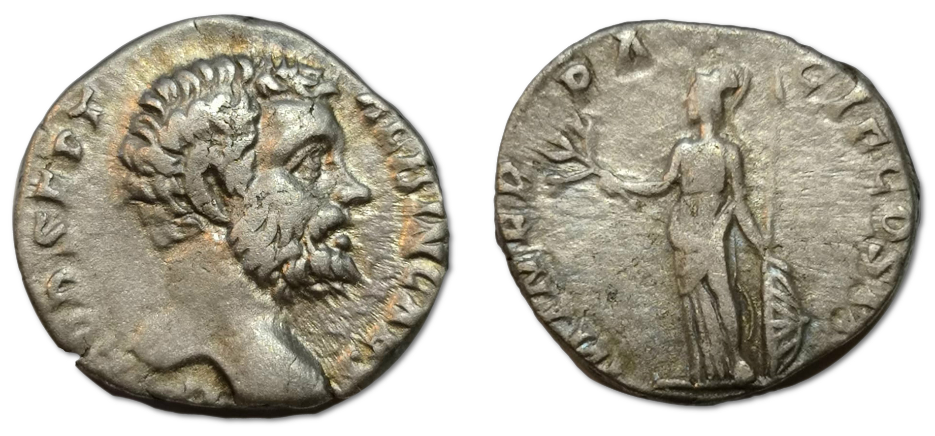 /Files/Images/Coinsite/CoinDB/Clodius_Albinus_Caesar(0).jpg